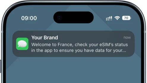 Email and SMS notifications for customer updates on eSIM status